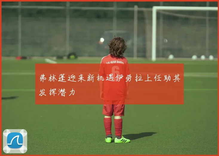 弗林蓬迎来新机遇伊劳拉上任助其发挥潜力