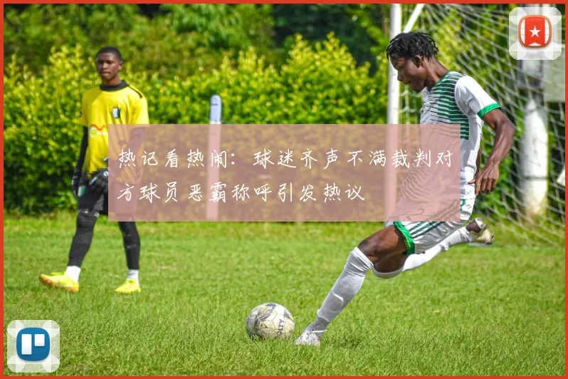 热记看热闹：球迷齐声不满裁判对方球员恶霸称呼引发热议
