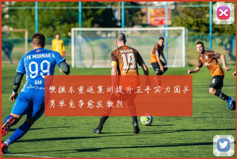 樊振东重返集训提升正手实力国乒男单竞争愈发激烈